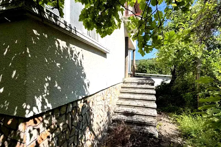 House in Montana, Berkovica