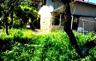 Къща в Бургас, Банево