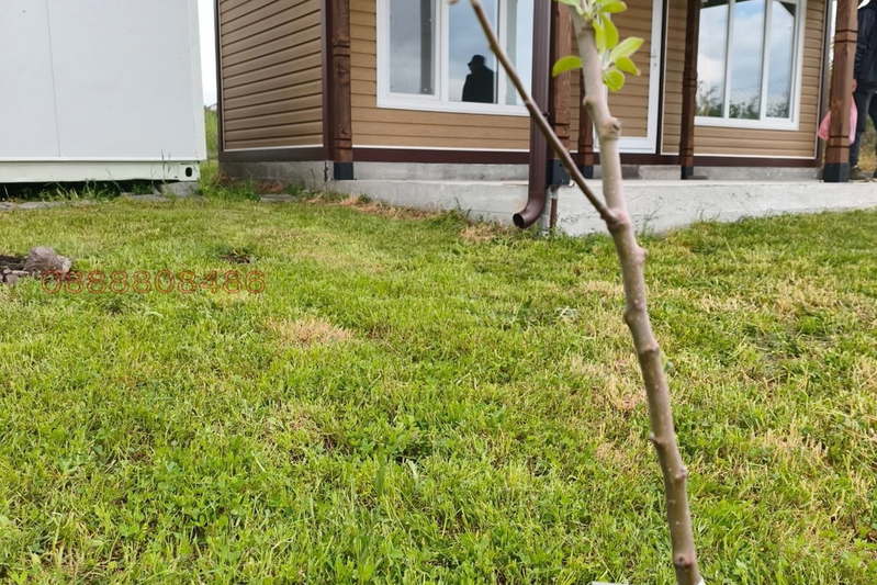 House in Burgas, в.з.Острица