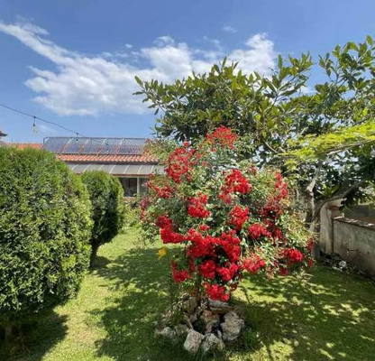 Photo 2 — House in Oblast Varna, Byala