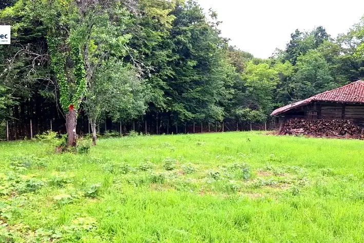 House in Veliko Tyrnovo, Elena