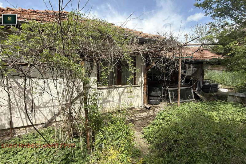 House in Pernik, Радина чешма