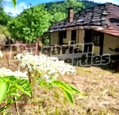 Photo 5 — House in Oblast Gabrovo, Plachkovci