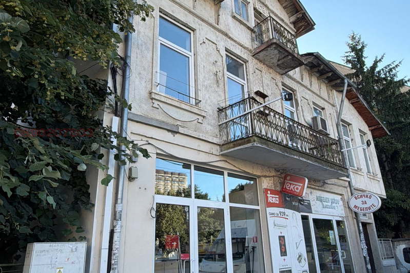 House in Pleven, Idealen Centyr