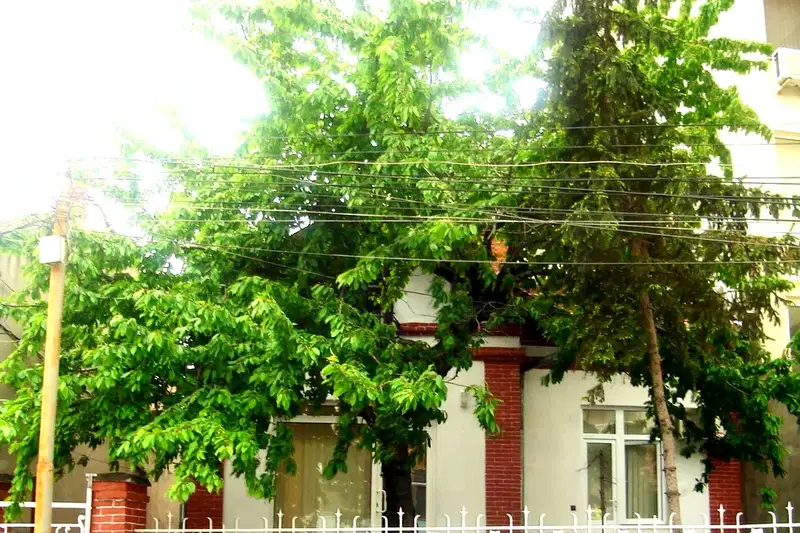 Къща в Русе, Център