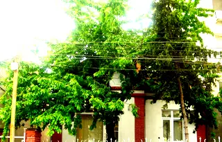Къща в Русе, Център