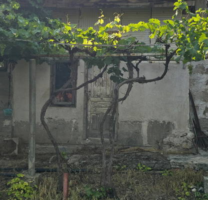 Photo 3 — House in Oblast Pazardjik, Cerovo