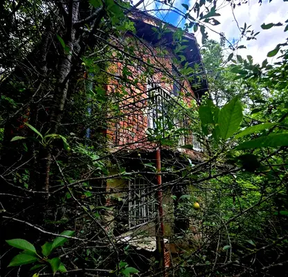 Photo 3 — House in област София, Dragovishtica