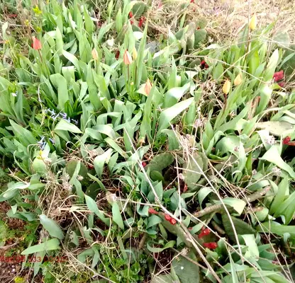 Снимка 2 — Къща в Ямбол, с. Генерал Инзово