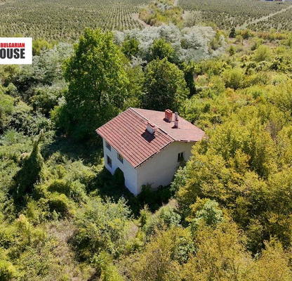 Photo 4 — House in област София, Novachene
