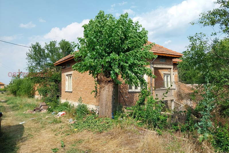 House in Oblast Veliko Tyrnovo, Pavel