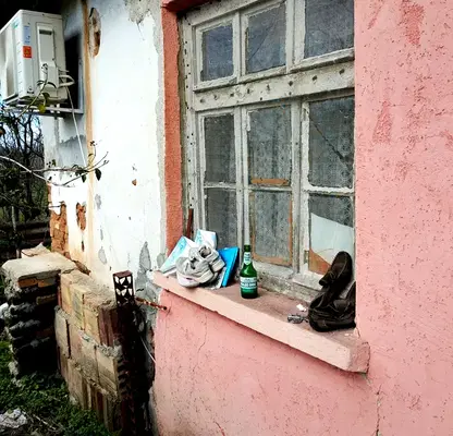 Снимка 5 — Къща в Хасково, с. Синапово