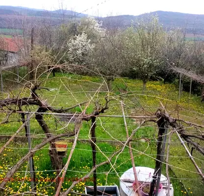 Photo 2 — House in Oblast Lovech, Slivek