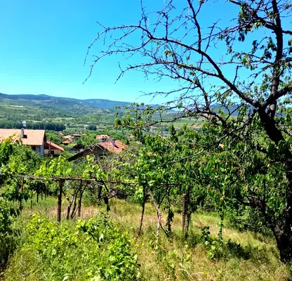 Photo 4 — House in Oblast Kyustendil, Usoika