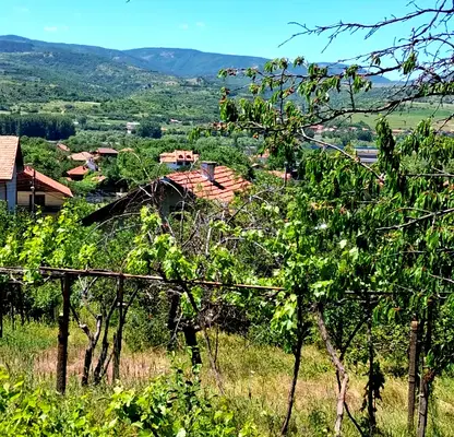 Photo 5 — House in Oblast Kyustendil, Usoika