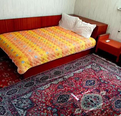 Снимка 3 — Къща в Пловдив, Стамболийски