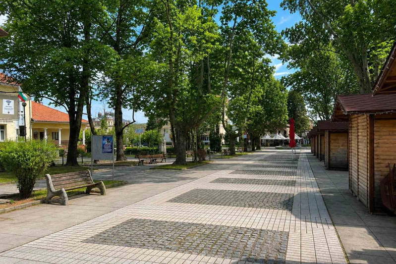 Къща в Монтана, Вършец