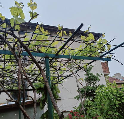 Photo 3 — Office in Sofiya, Benkovski