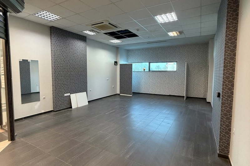 Shop in Pleven, Idealen Centyr