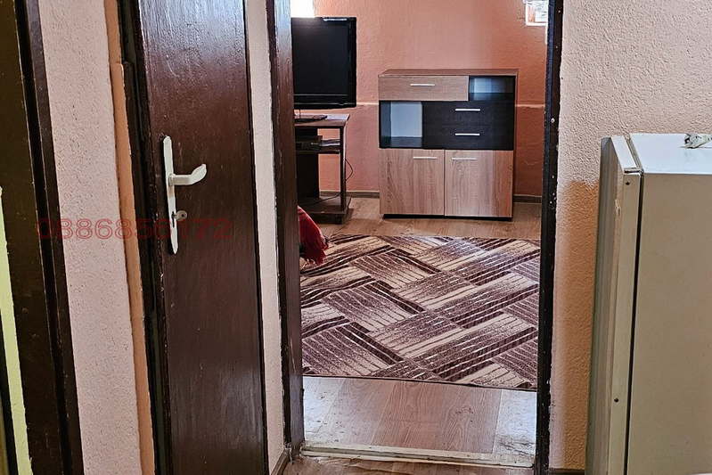 Стая в Пловдив, Център
