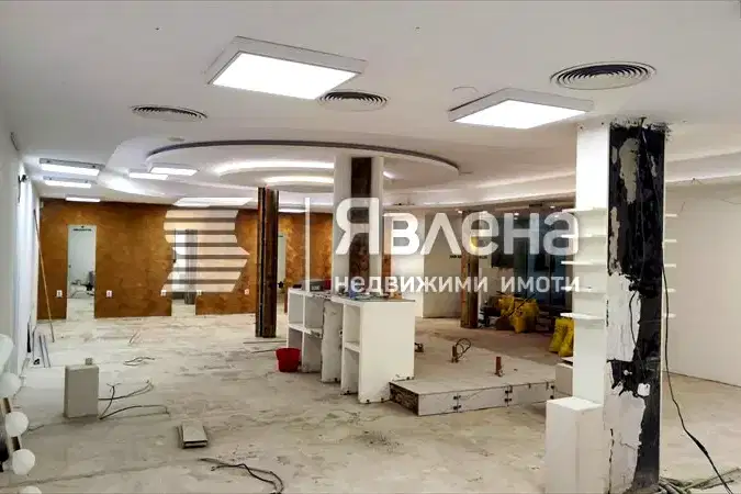 Заведение в София, Иван Вазов
