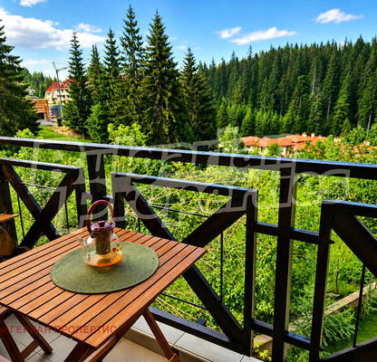 Снимка 2 — Едностаен апартамент в Смолян, к.к. Пампорово