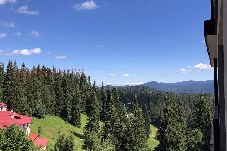 2-bedroom apartment in Oblast Smolyan, Pamporovo