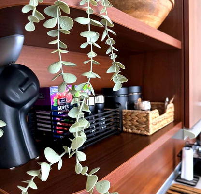 Снимка 2 — Едностаен апартамент в Бургас, к.к. Слънчев бряг