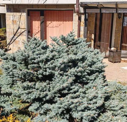 Снимка 5 — Двустаен апартамент в Бургас, к.к. Слънчев бряг