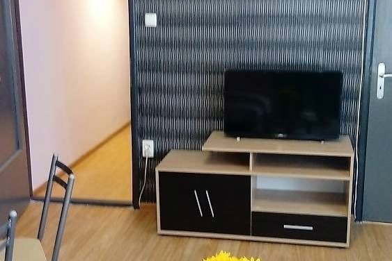 1-bedroom apartment in Sofiya, Belite Brezi