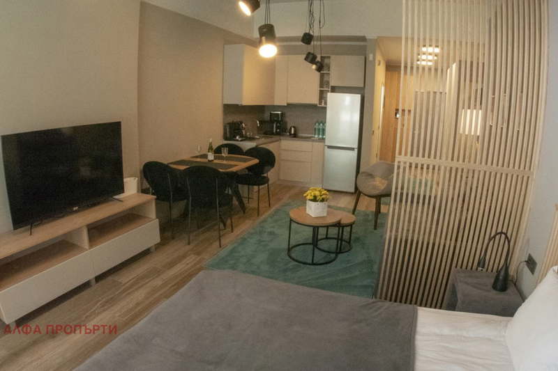 1-bedroom apartment in Sofiya, Lozenec