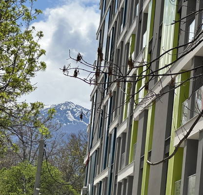Photo 5 — 3-bedroom apartment in Sofia, Zona B-5