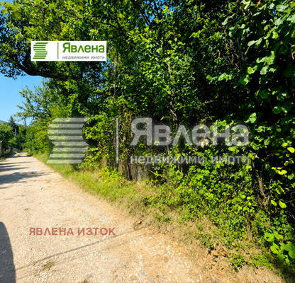 Photo 4 — Plot in Bankya