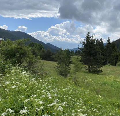 Photo 2 — Plot in Oblast Pazardjik, Batak
