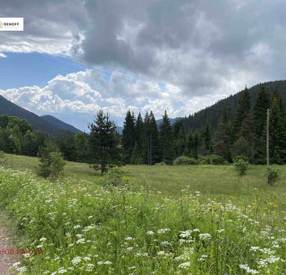 Photo 4 — Plot in Oblast Pazardjik, Batak