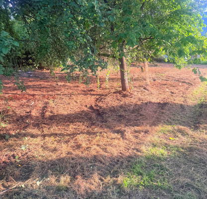 Photo 2 — Plot in област София, Botevgrad