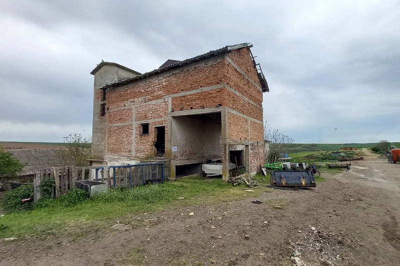 Парцел в Разград, Цар Калоян