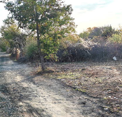 Photo 2 — Plot in Oblast Burgas, Carevo