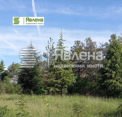 Снимка 3 — Парцел в Бургас, Царево