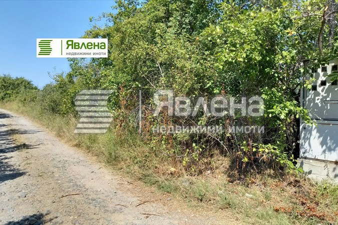 Парцел в Бургас, Царево