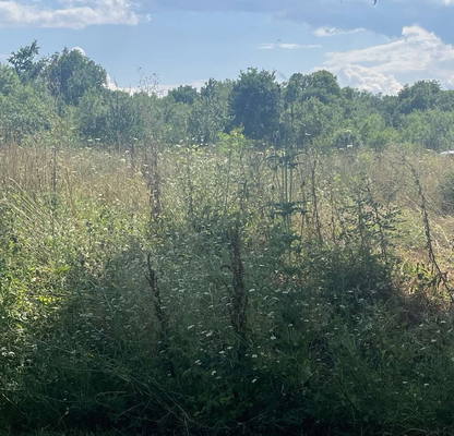Photo 3 — Plot in Oblast Burgas, Carevo