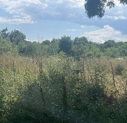 Photo 4 — Plot in Oblast Burgas, Carevo