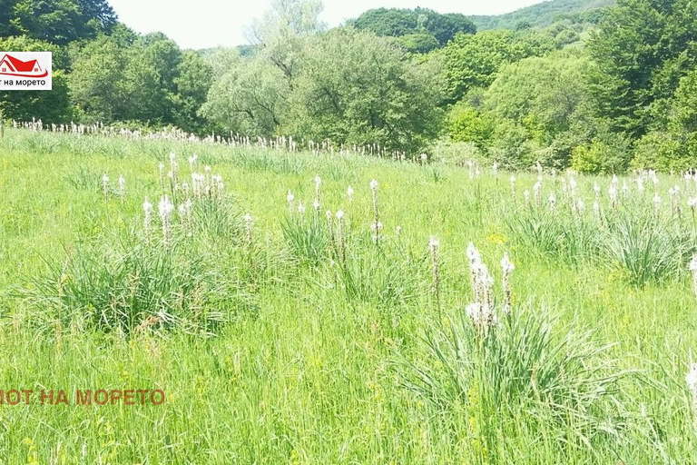 Plot in Oblast Burgas, Carevo