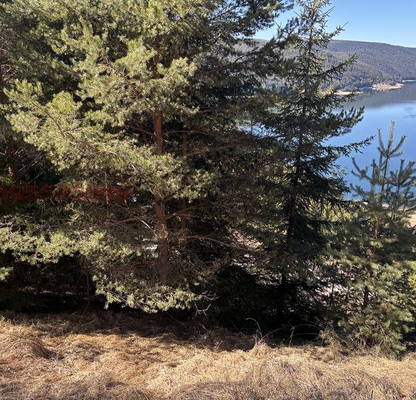 Photo 3 — Plot in Oblast Smolyan, Dospat