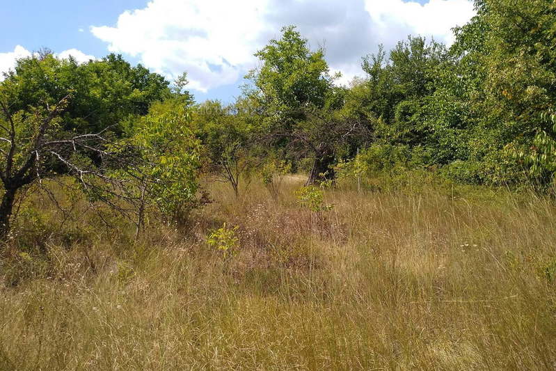 Plot in Oblast Gabrovo, Dryanovo