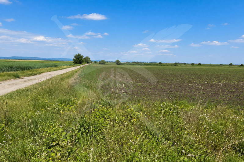 Plot in Oblast Burgas, Kableshkovo