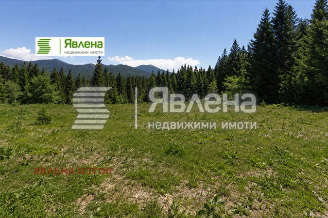 Plot in област София, Borovec