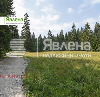 Photo 3 — Plot in област София, Borovec