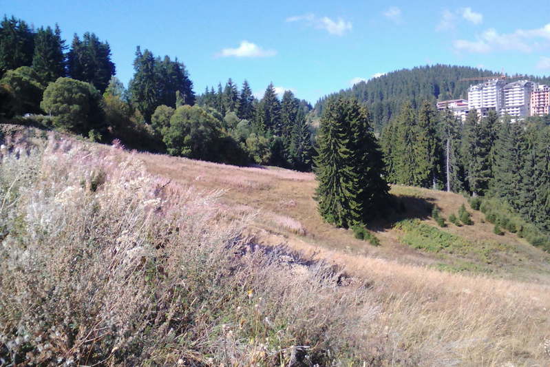 Plot in Oblast Smolyan, Pamporovo
