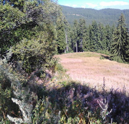Photo 2 — Plot in Oblast Smolyan, Pamporovo
